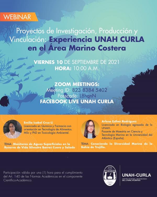 Afiche Proyectos de Investigacion imagen